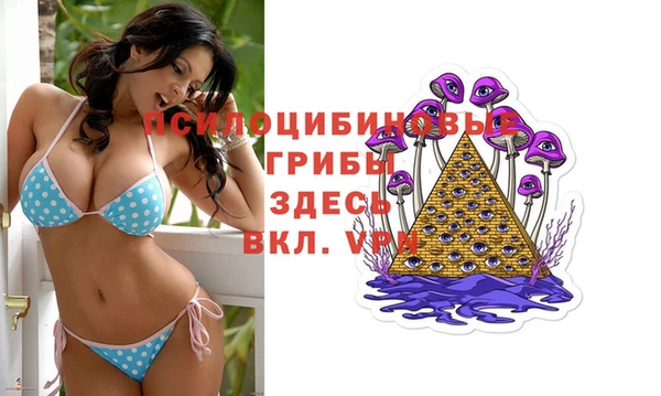 дживик Ладушкин