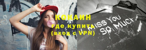 дживик Ладушкин